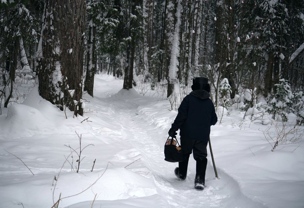 Photograph by Измаил Ефимов