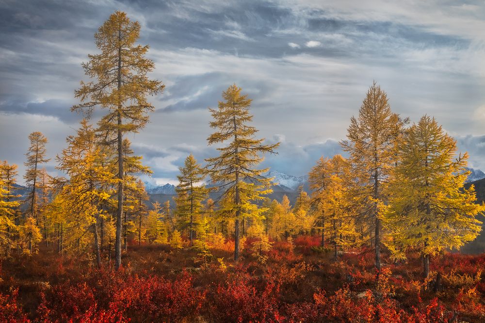 Колымская осень
