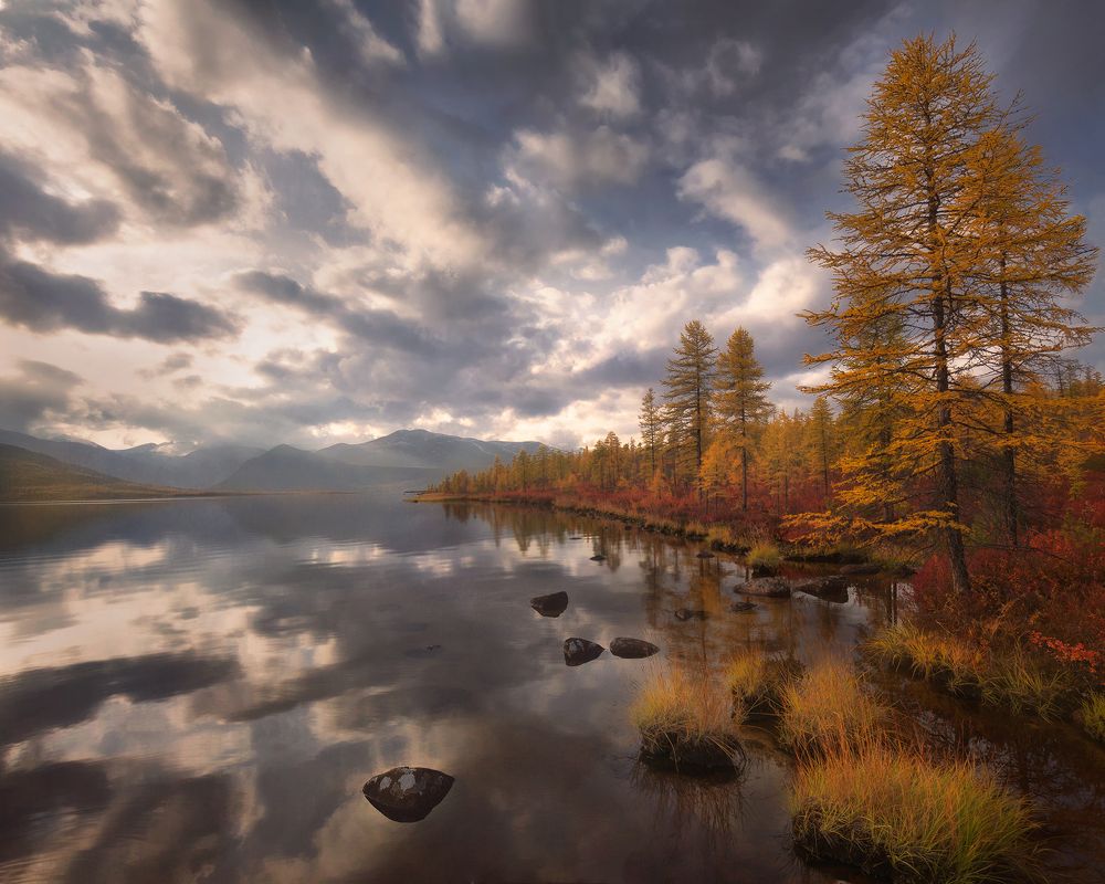 Свежий ветер