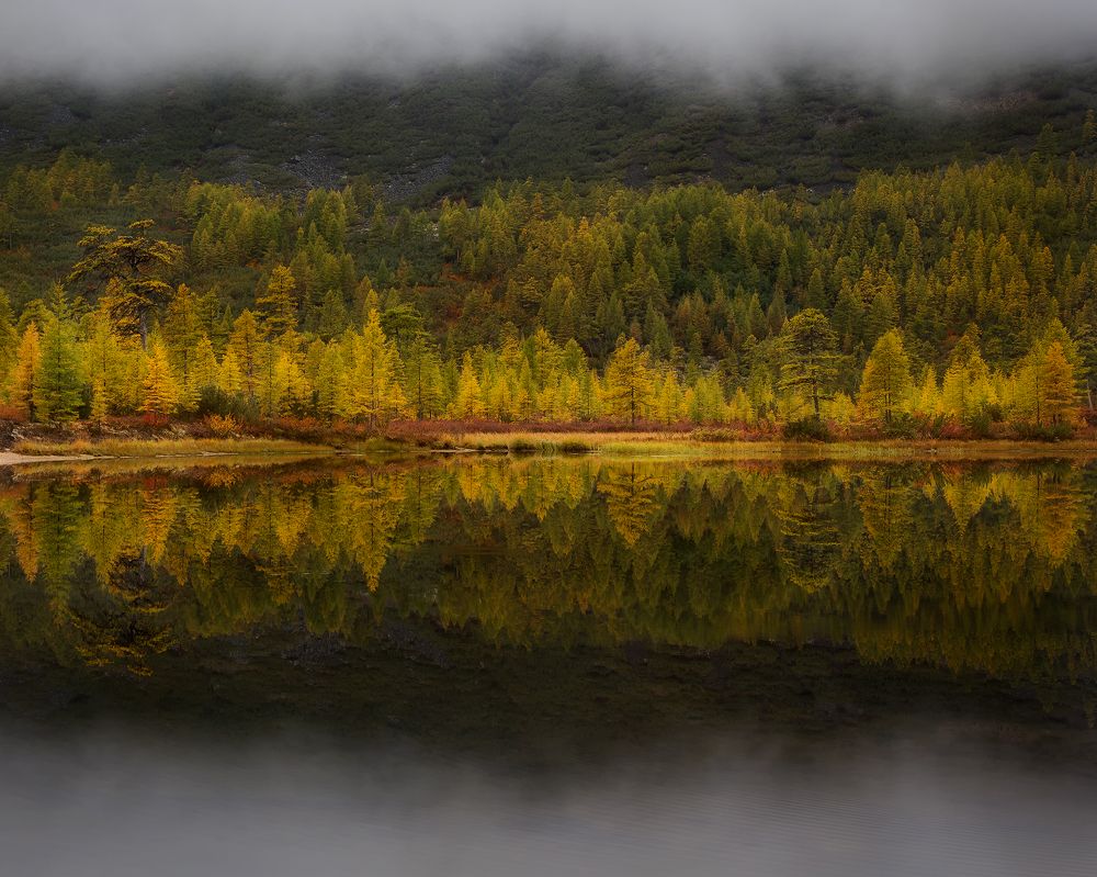 Равновесие