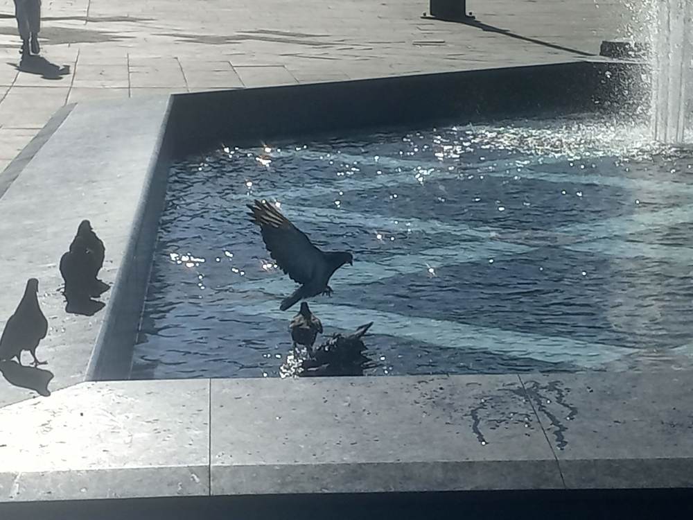 Фотография автора Tanja Grdijan