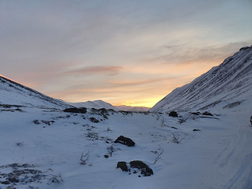 Север и хаски