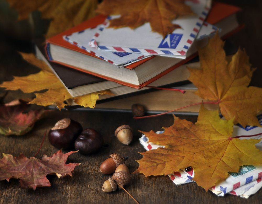 Photograph by Елена