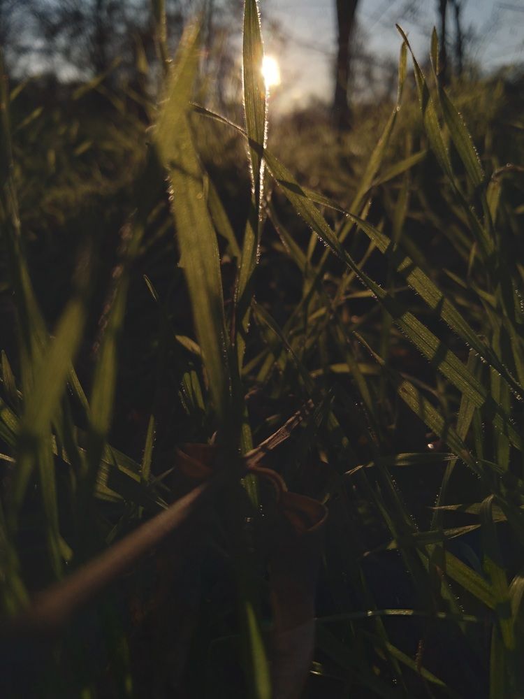 Photograph by Ольга Калинчук