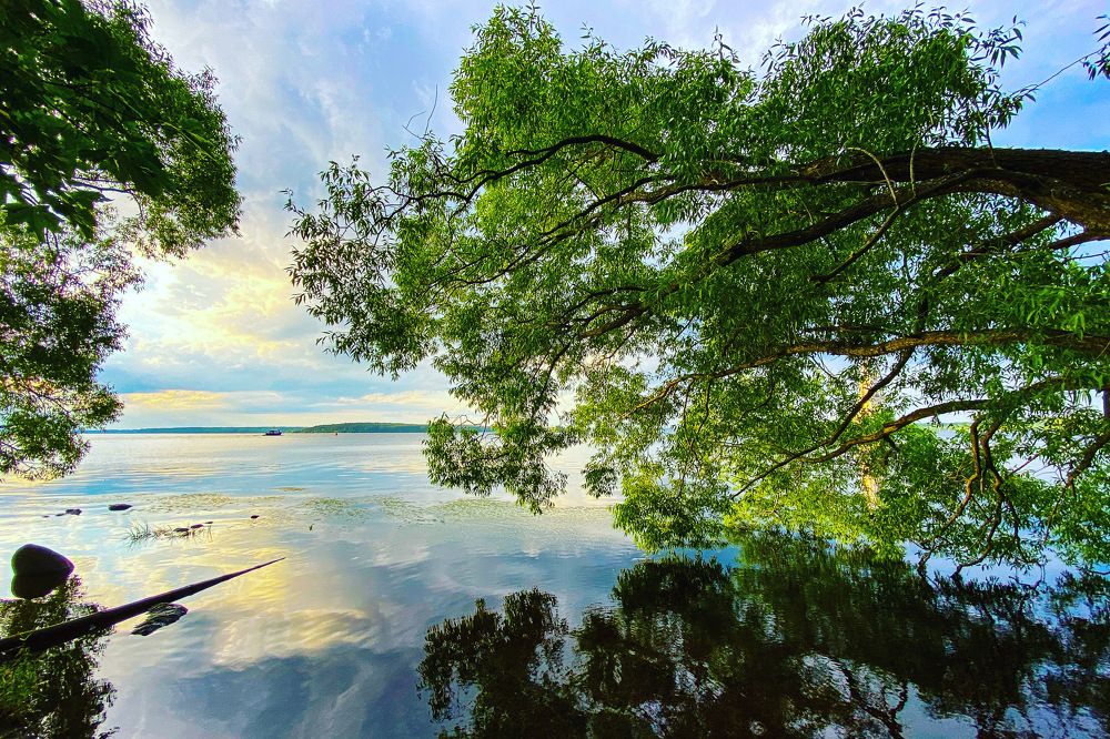 Photograph by Козинец Александр