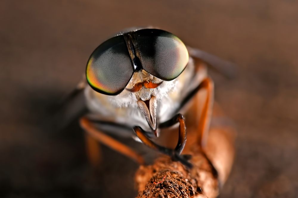 Photograph by Yuwaraj Gurjar