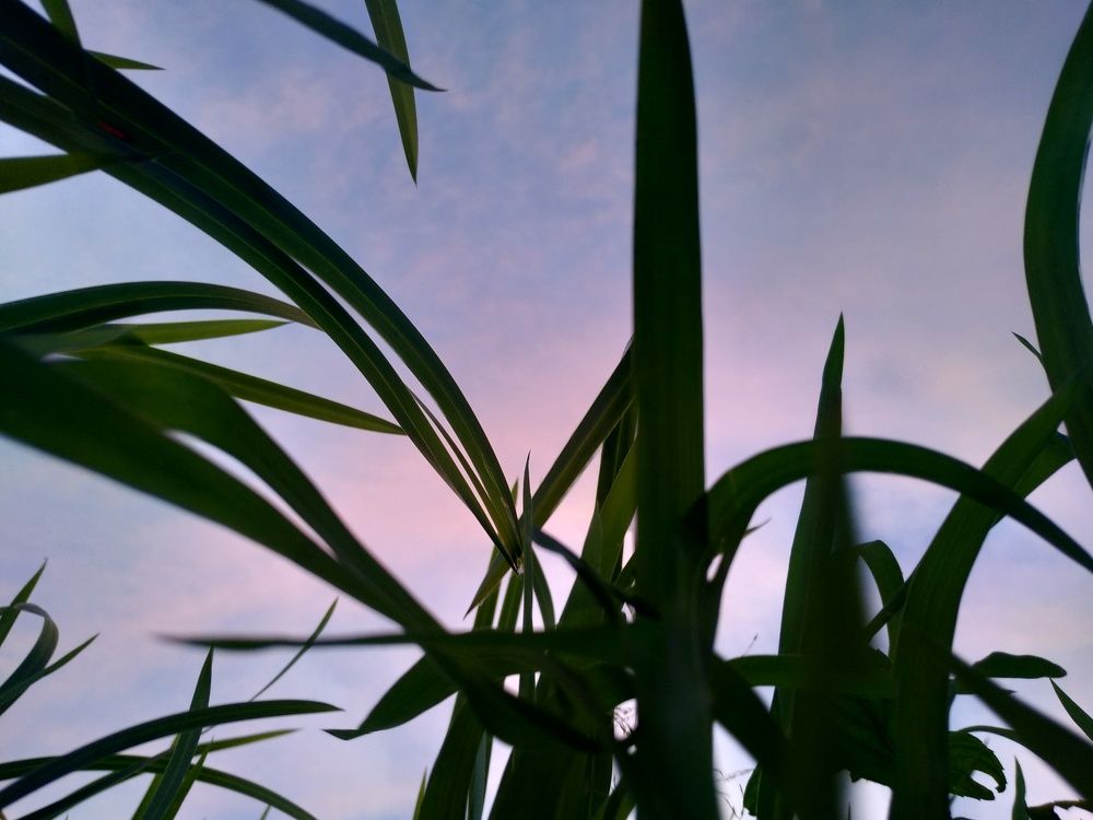 Photograph by Юрий Карач