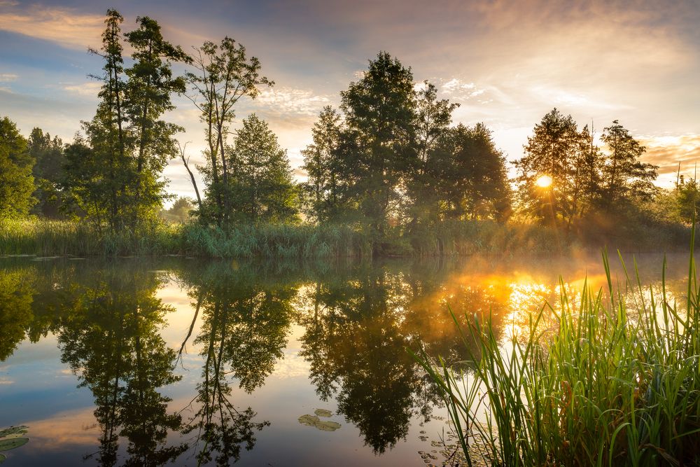 Photograph by Katarzyna Bochniak