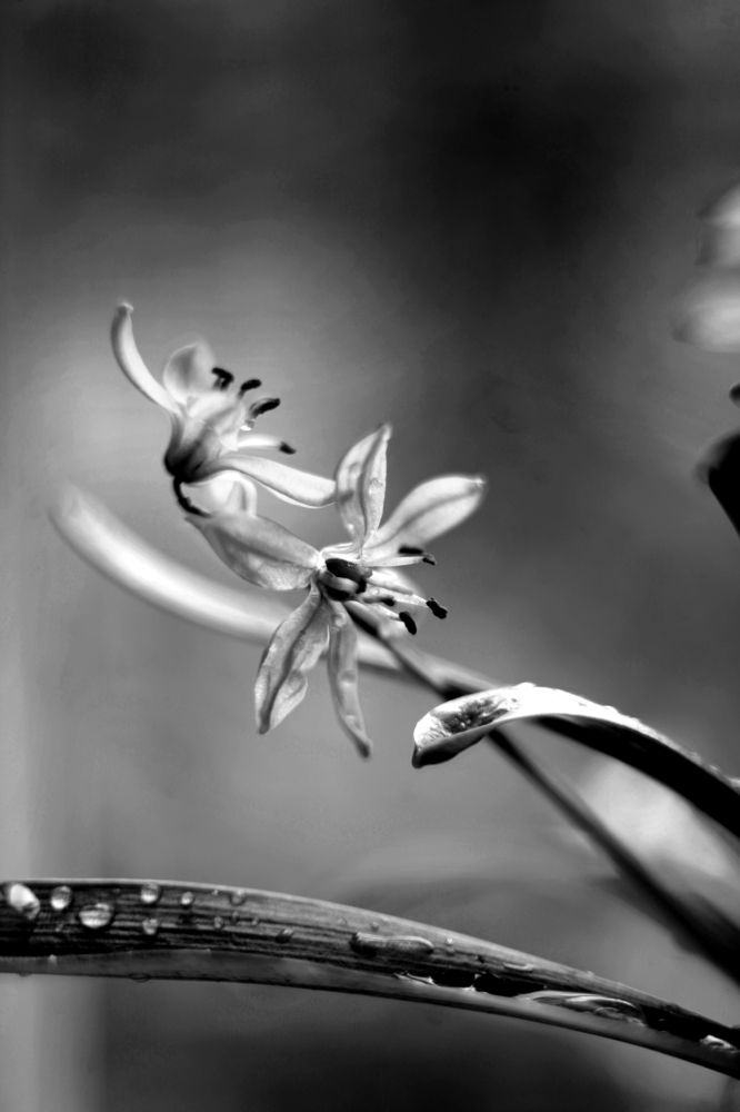 Photograph by Milla Luca