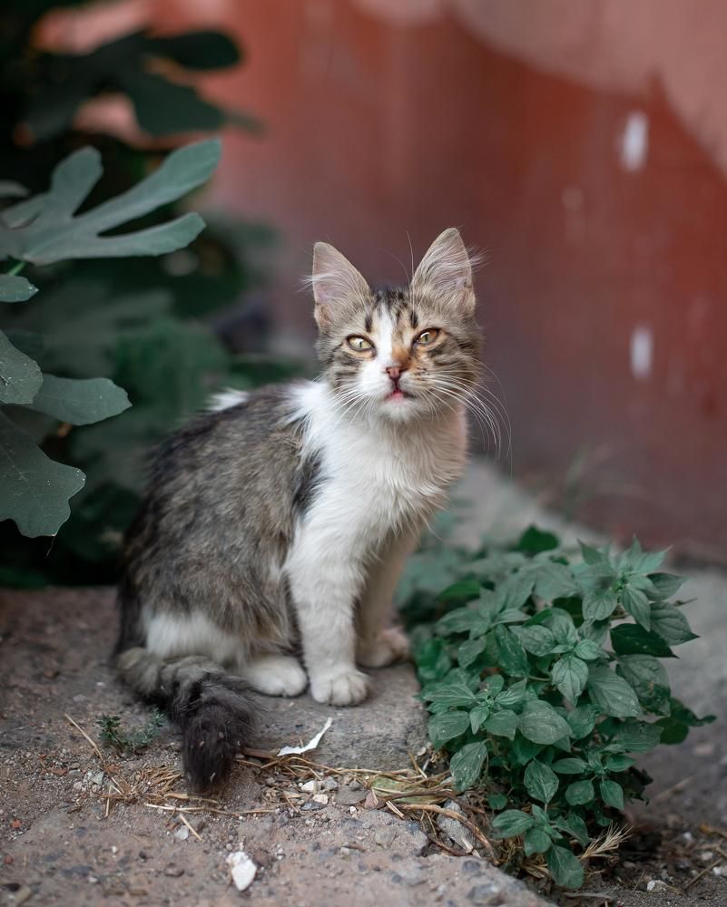 Photograph by Нина Тарашкевич