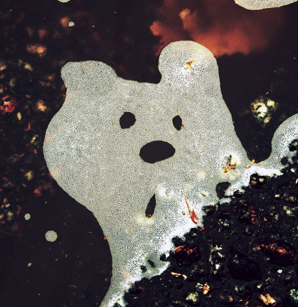 Photograph by ПОЛУЕВ ИЛЬЯ