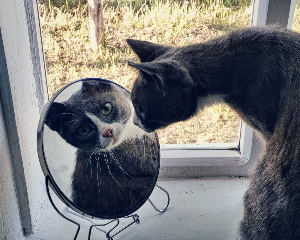 Photograph by Денис Романов