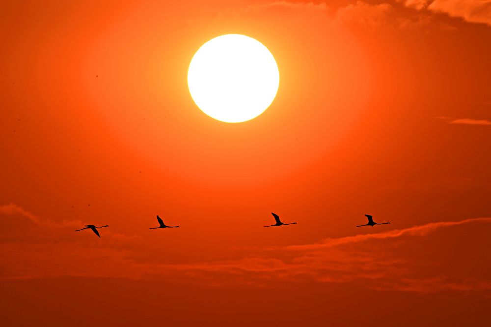 Photograph by Yuwaraj Gurjar