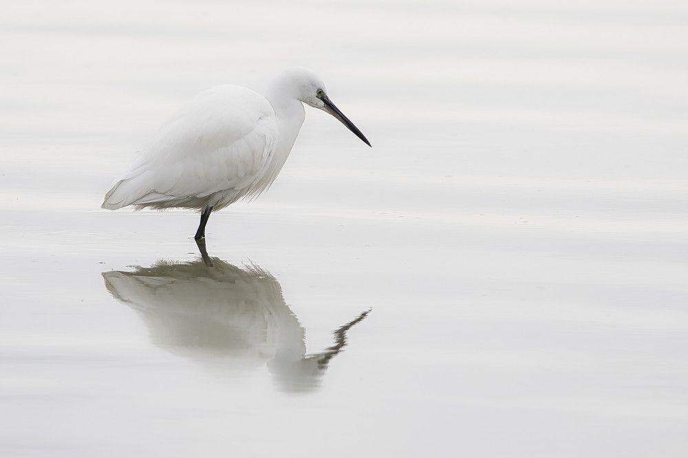 Photograph by Boštjan