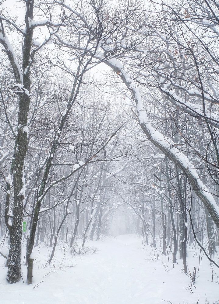 Photograph by Алла