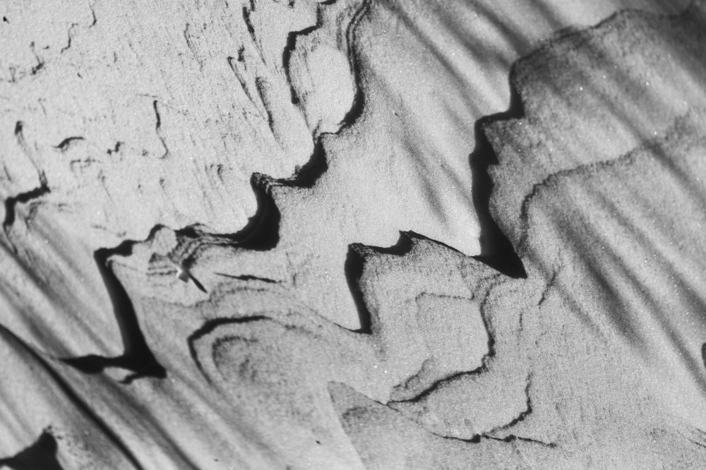 Photograph by Susanna Kari