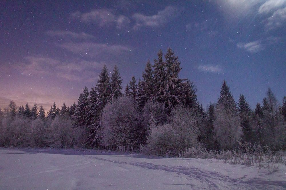 Фотография автора Даниил Бабей