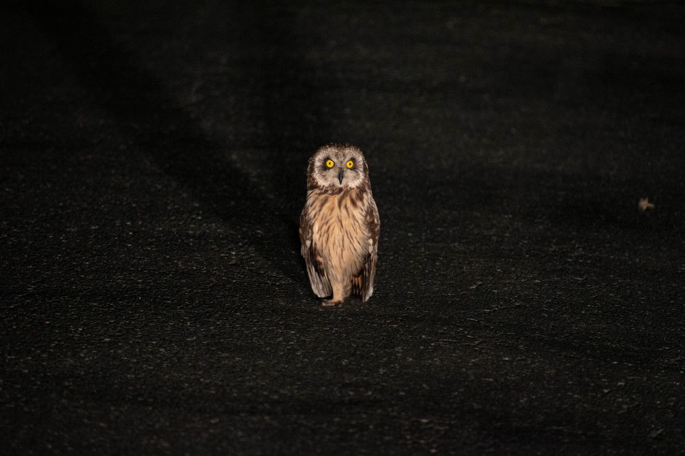 Photograph by Михаил