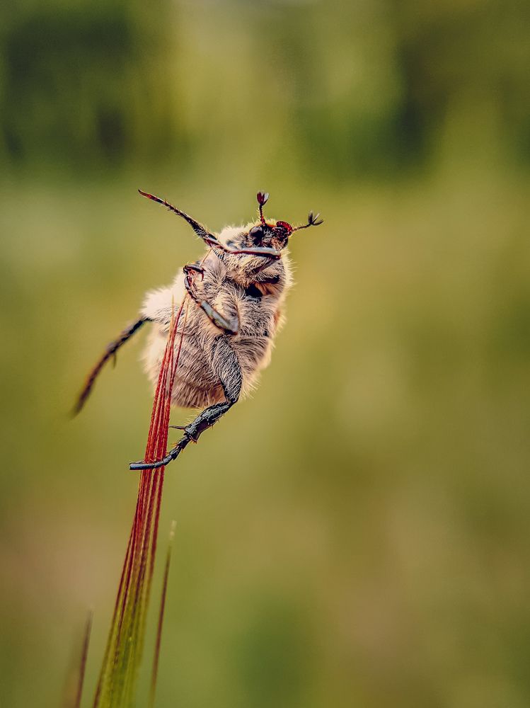 Photograph by Сергей Колос