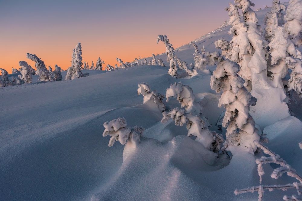Шерегешские сумерки