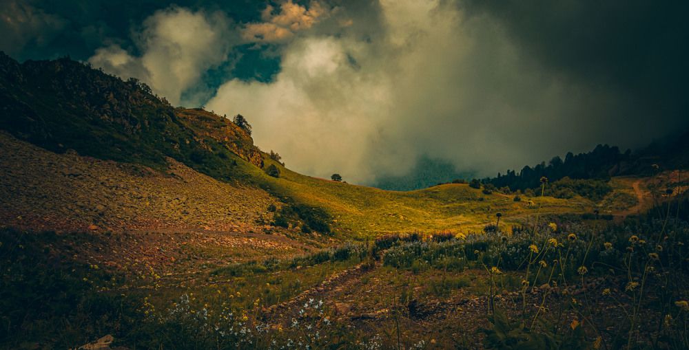 Photograph by 