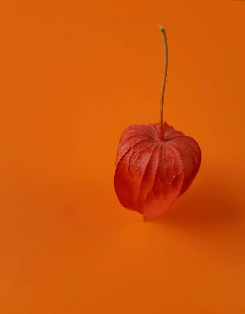 Photograph by Анна Чичилова