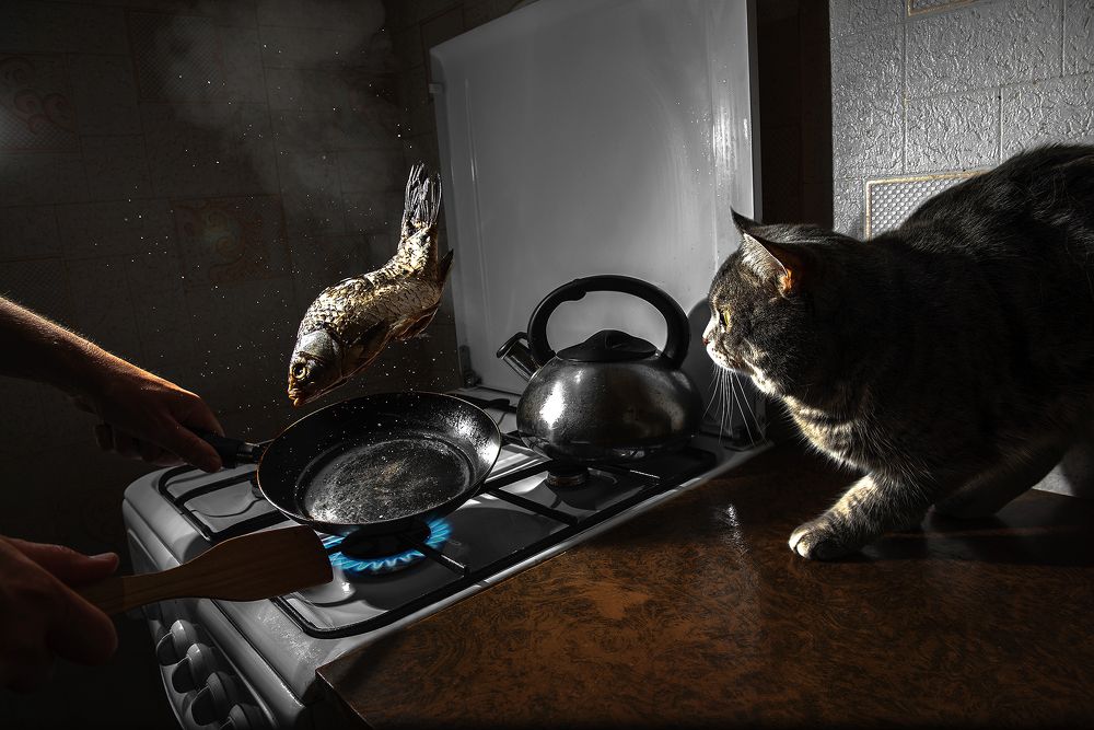 Барсик и рыба