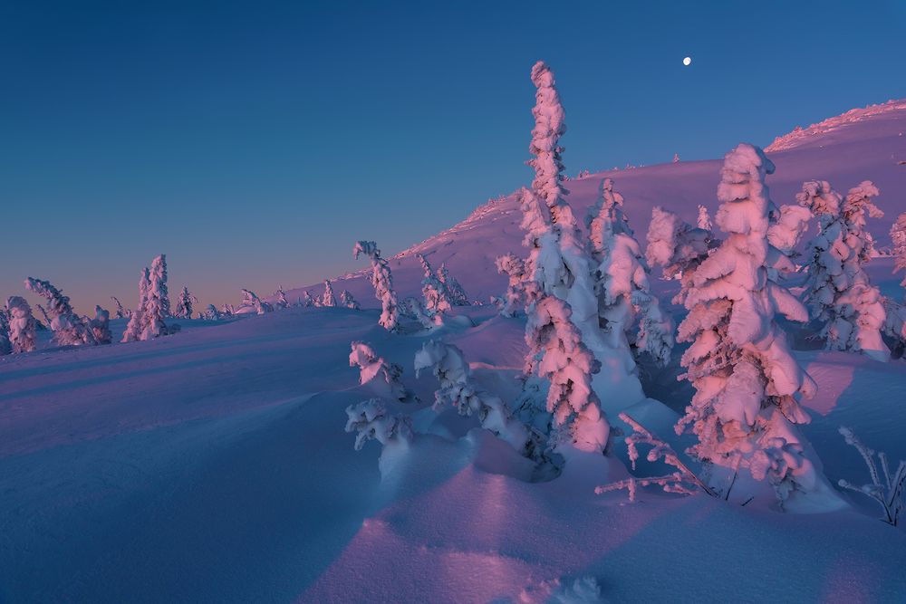 Pro первые лучи рассвета