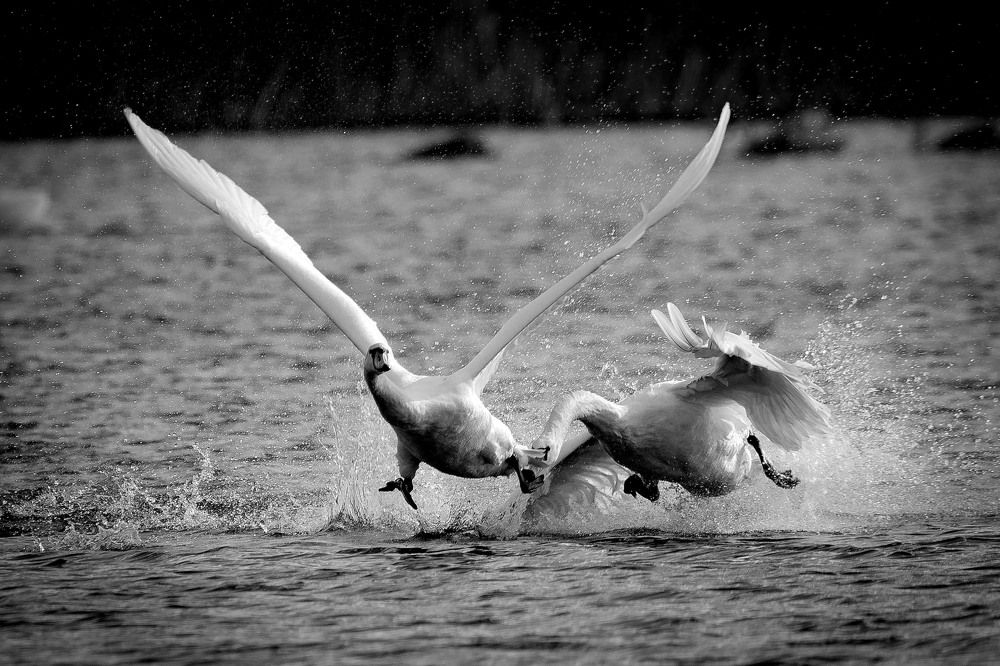 Photograph by Вячеслав Ладанов