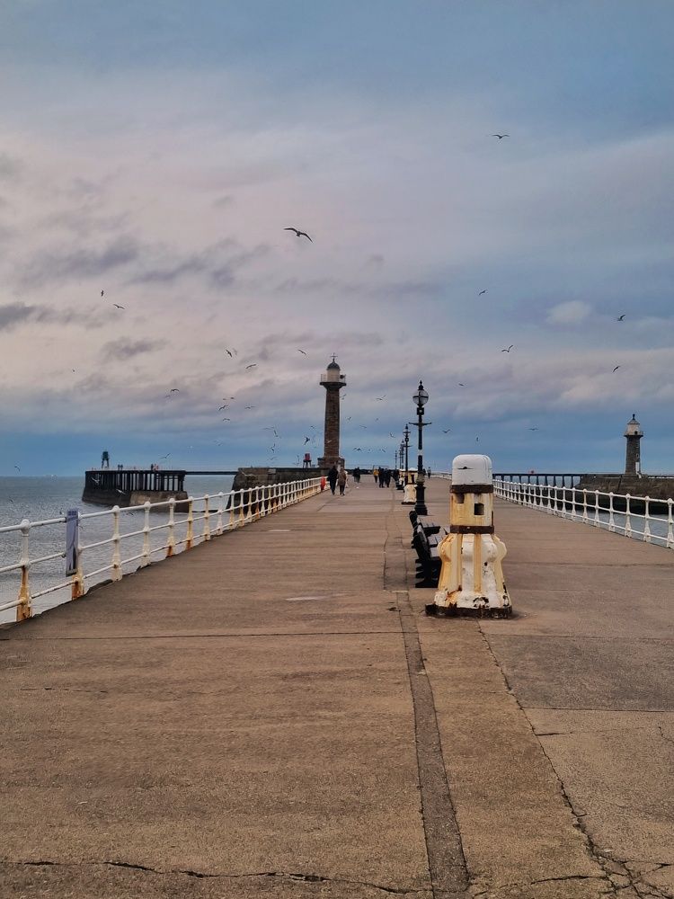 Photograph by Reihan Trandafir