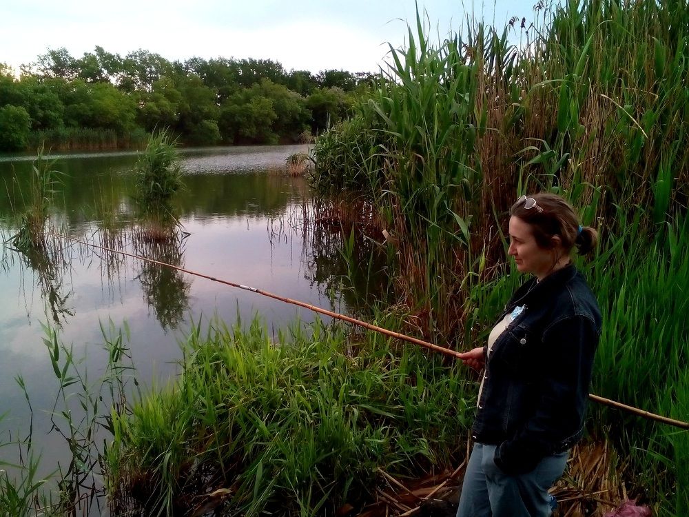 Photo #7350964