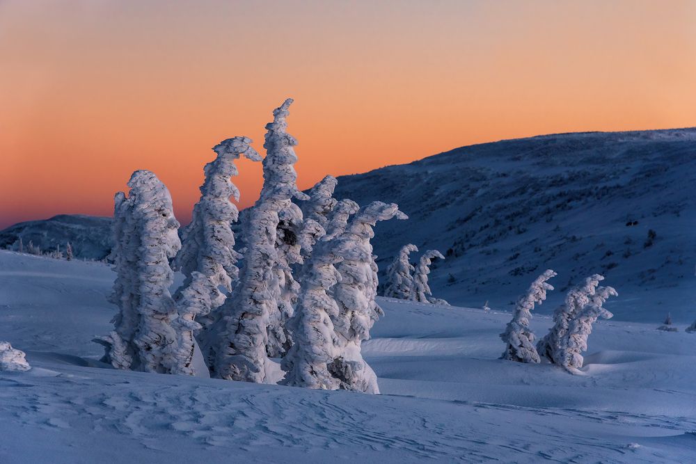 Бредущие к рассвету