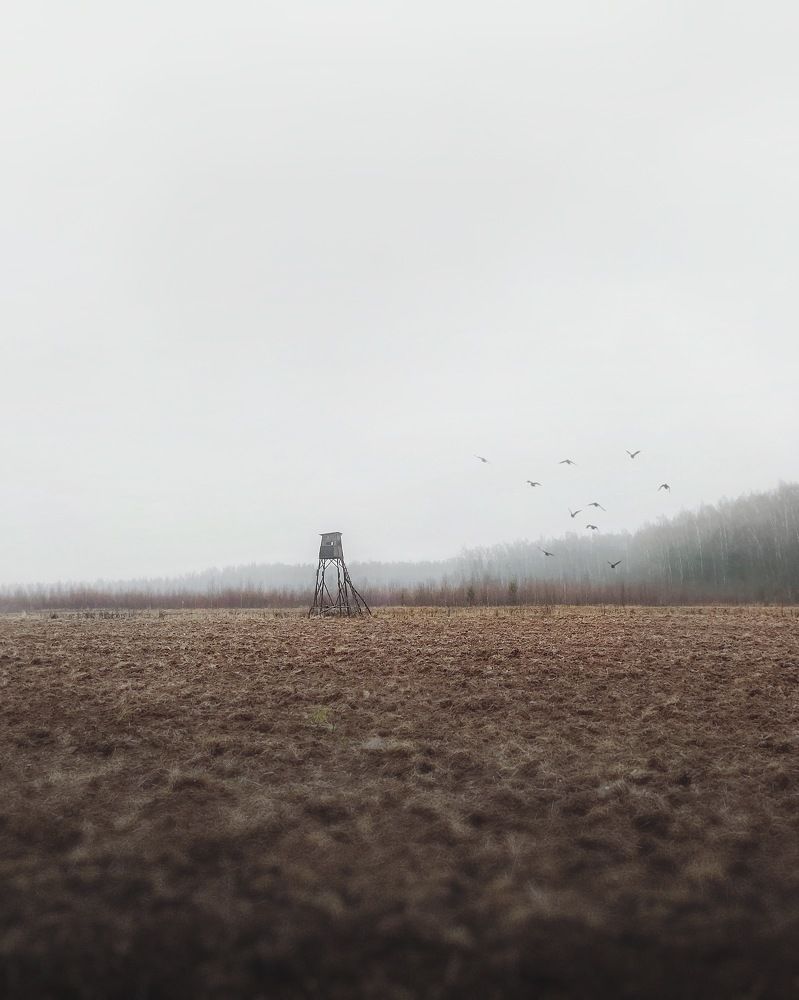 Photograph by Сергей Протасов