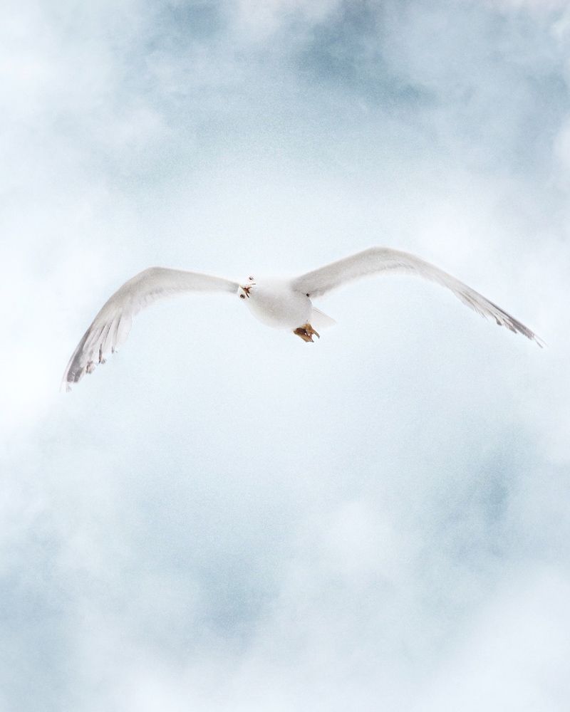 Photograph by Сергей Протасов