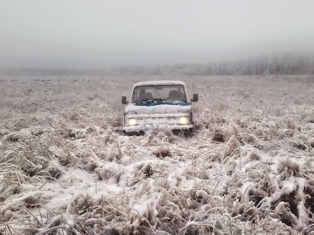 Photograph by Сергей Протасов