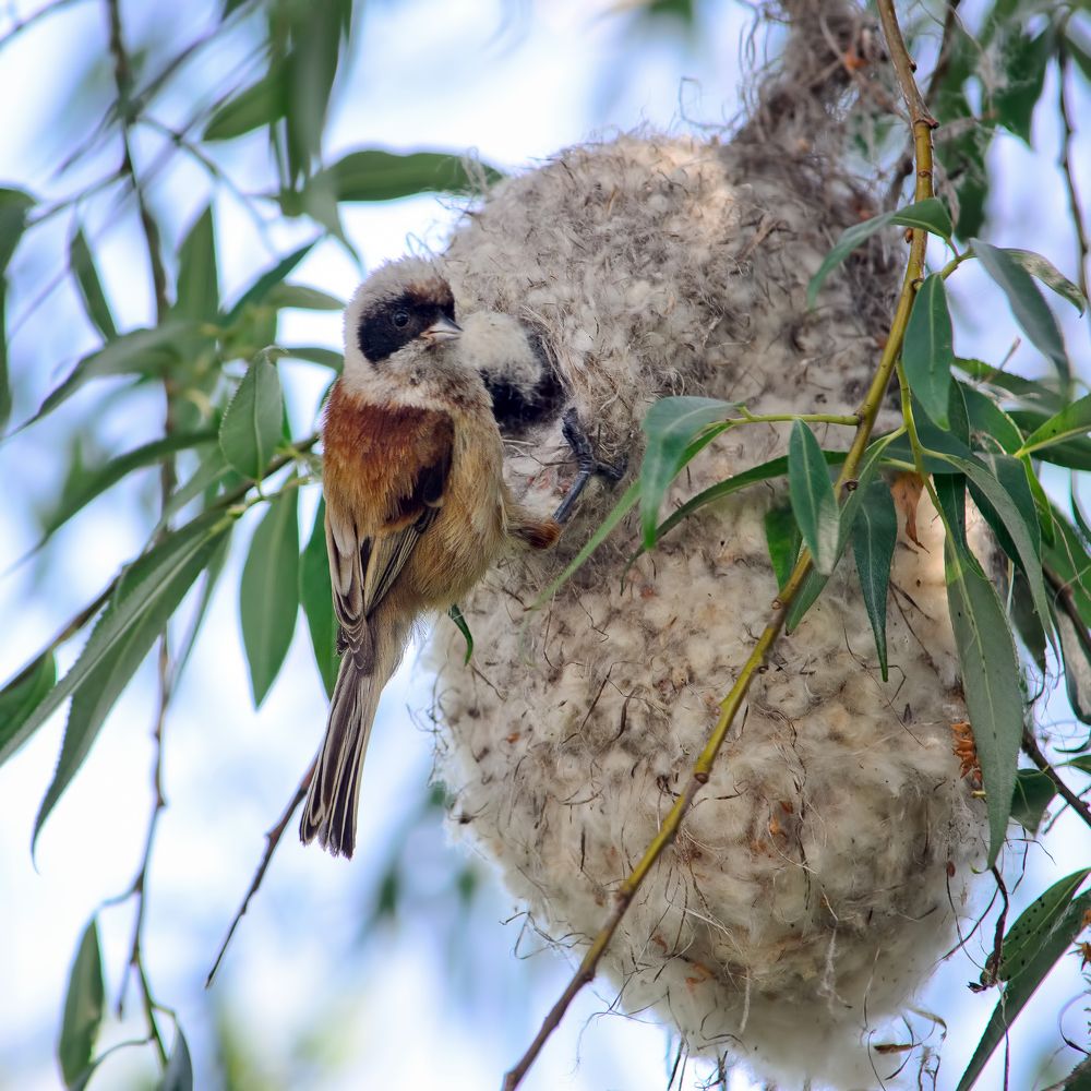 Photograph by Оксана Маховская