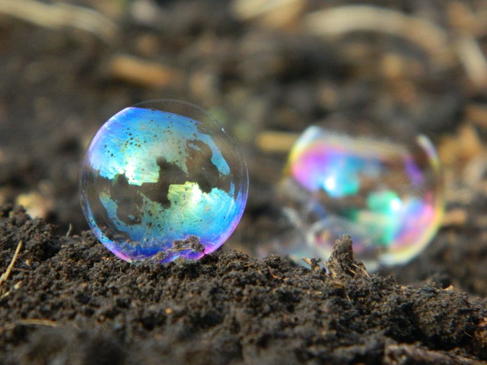 Photograph by Маргарита