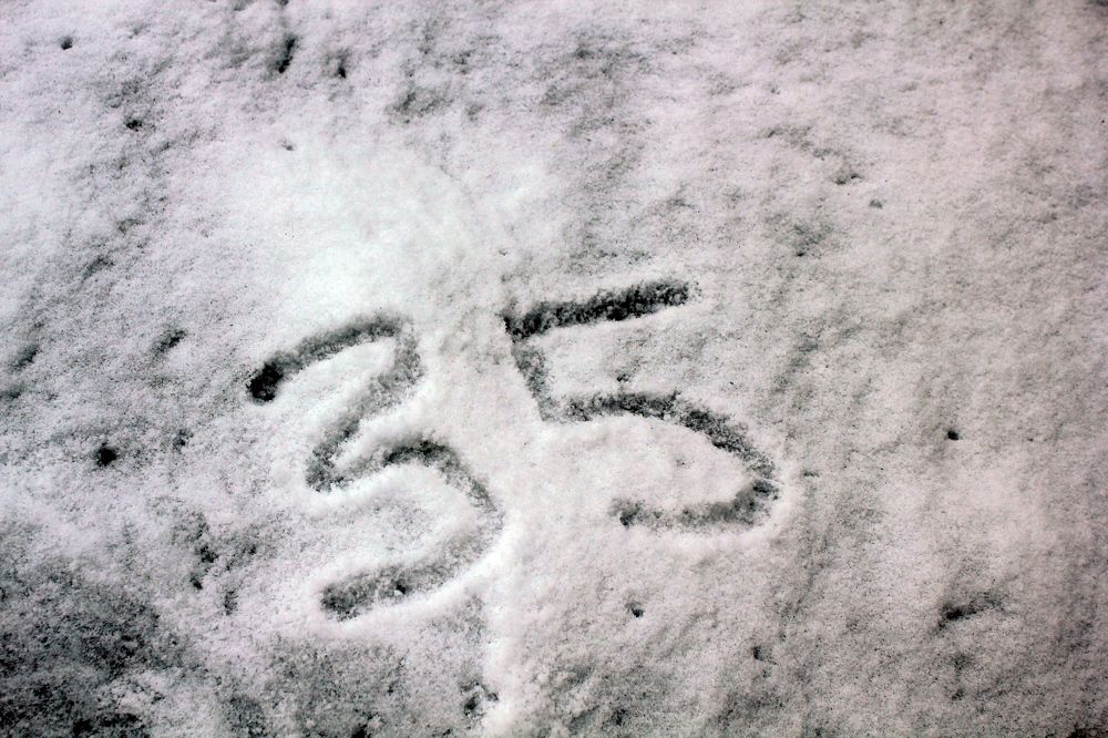 Photograph by Olga Bagaeva