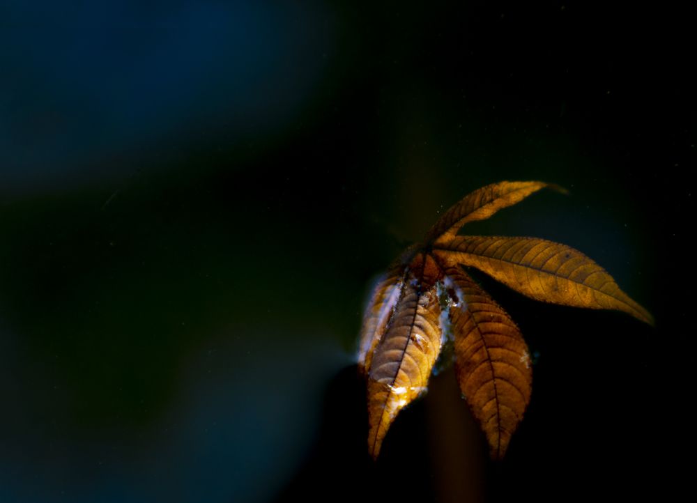 Photograph by Vũ Sơn Lâm