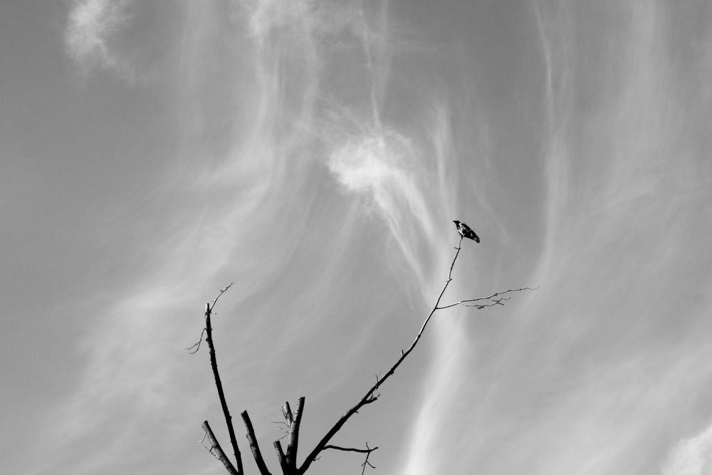 Photograph by Анастасия Кашенко