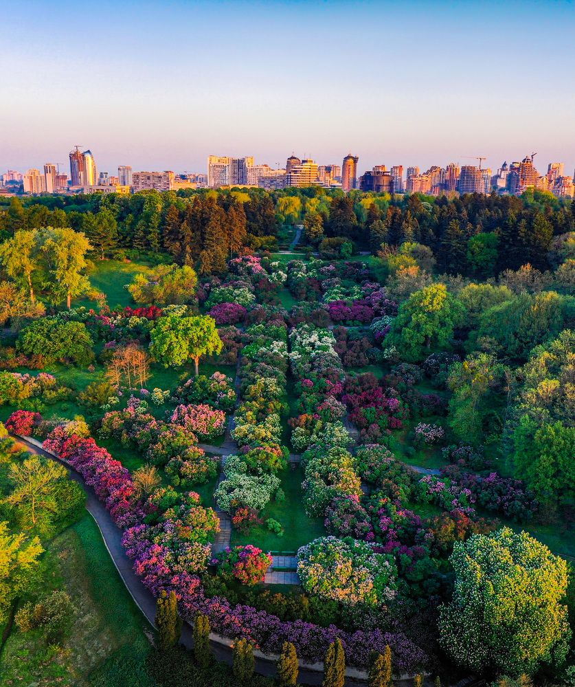 Photograph by Ярослав Титарчук