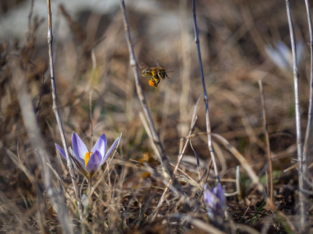 Photograph by Лейла Свекольникова