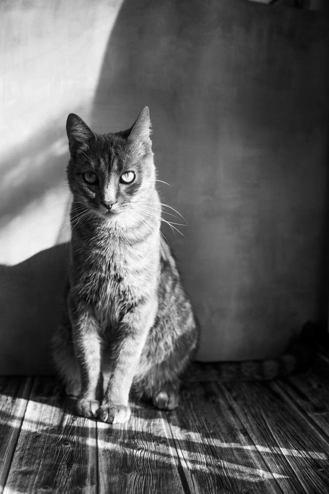 Photograph by Яна Резник