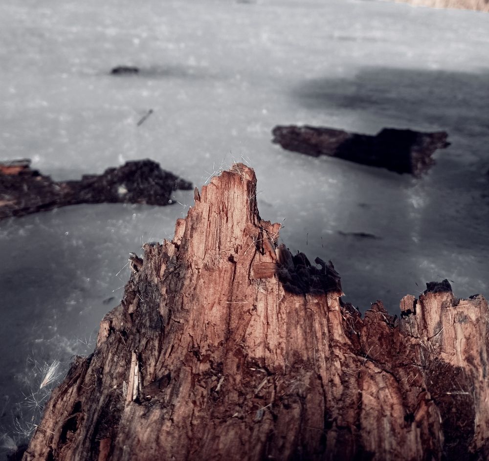 Photograph by Виктория Дога