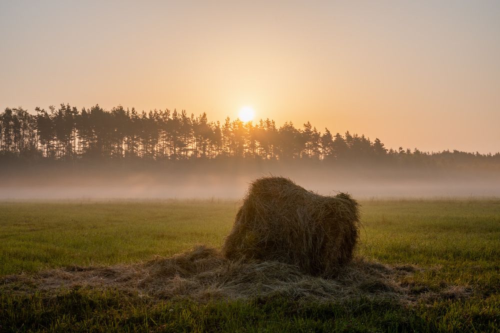 Photograph by Игорь Арсентьев