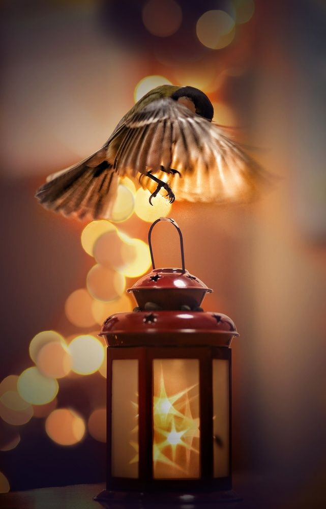 Photograph by Катерина Коханова