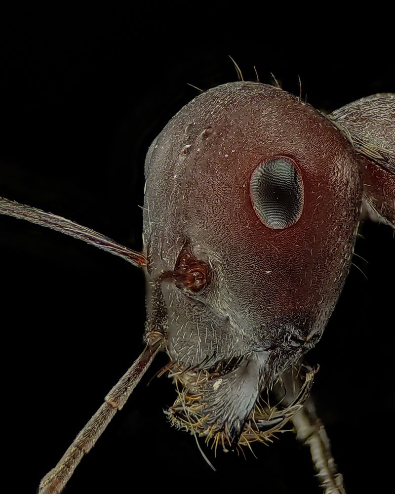 Photograph by Differ shadow