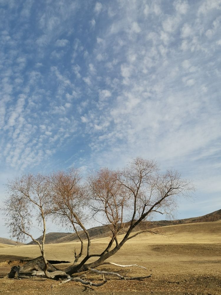 Photograph by Александра Барсукова