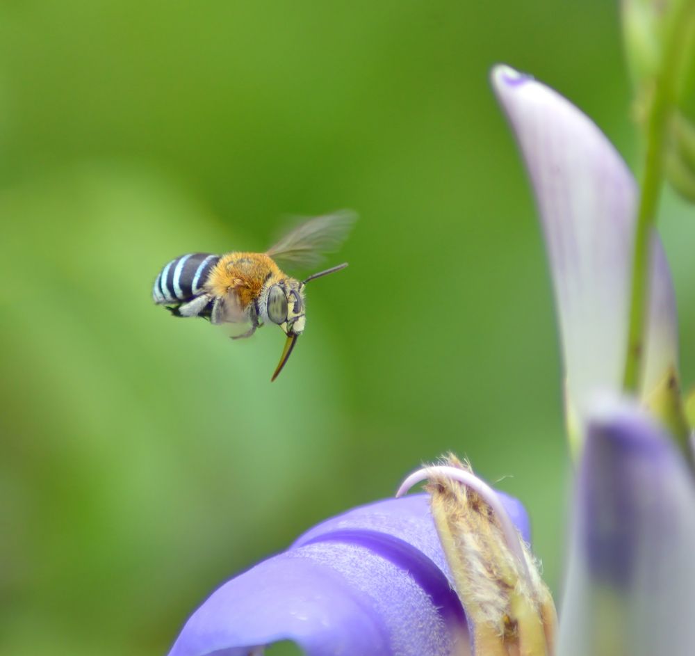 Photograph by Abhishek Manna