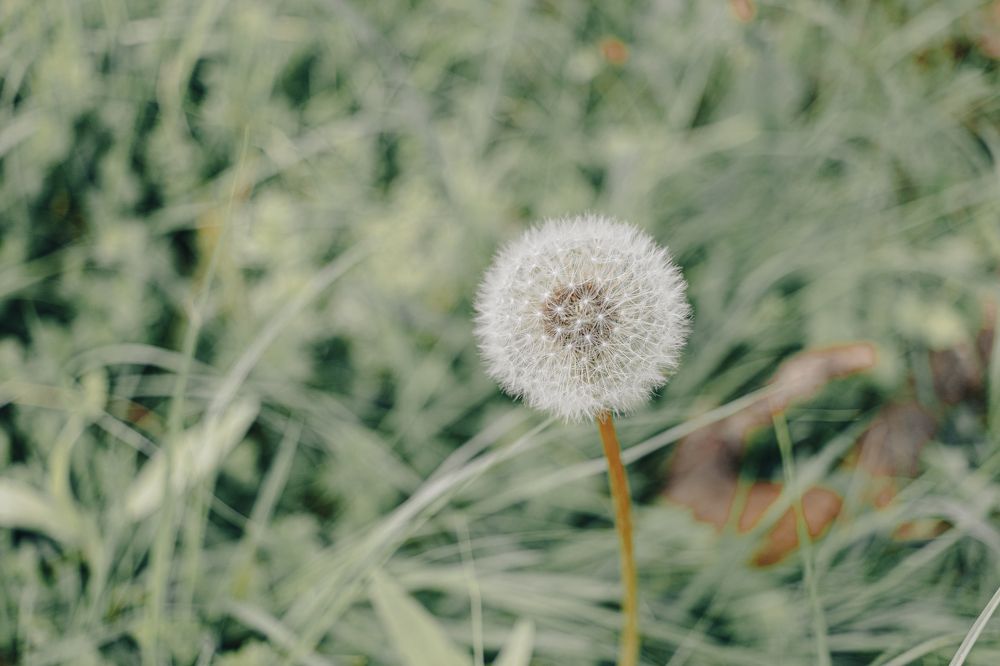 Фотография автора Балановская Виктория